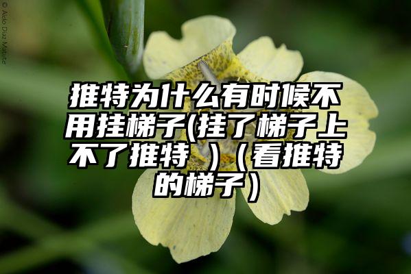 推特为什么有时候不用挂梯子(挂了梯子上不了推特 )（看推特的梯子）