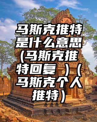 马斯克推特是什么意思(马斯克推特回复 )（马斯克个人推特）