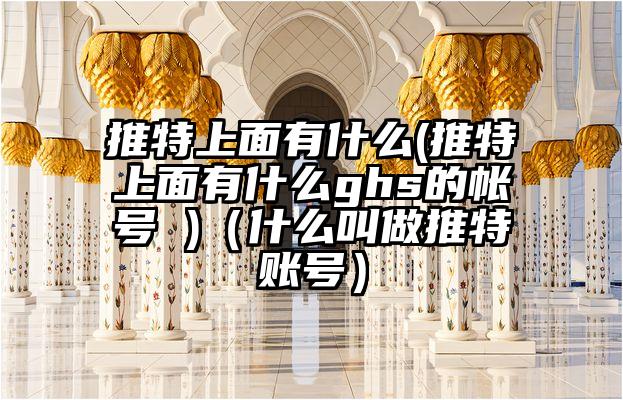 推特上面有什么(推特上面有什么ghs的帐号 )（什么叫做推特账号）