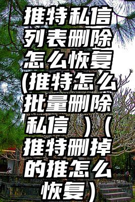 推特私信列表删除怎么恢复(推特怎么批量删除私信 )（推特删掉的推怎么恢复）