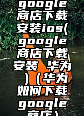 google商店下载安装ios(google商店下载安装 华为 )（华为如何下载google商店）