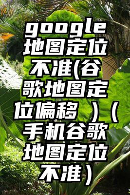 google地图定位不准(谷歌地图定位偏移 )（手机谷歌地图定位不准）