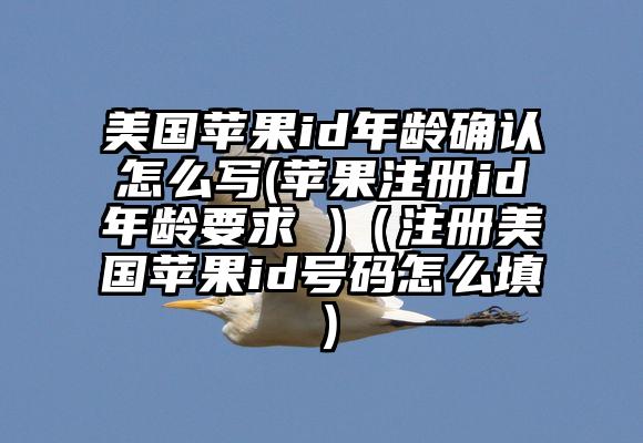美国苹果id年龄确认怎么写(苹果注册id年龄要求 )（注册美国苹果id号码怎么填）