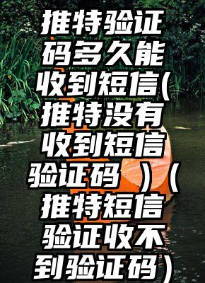 推特验证码多久能收到短信(推特没有收到短信验证码 )（推特短信验证收不到验证码）