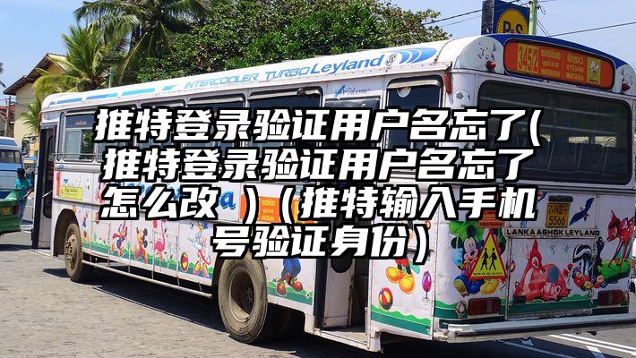 推特登录验证用户名忘了(推特登录验证用户名忘了怎么改 )（推特输入手机号验证身份）