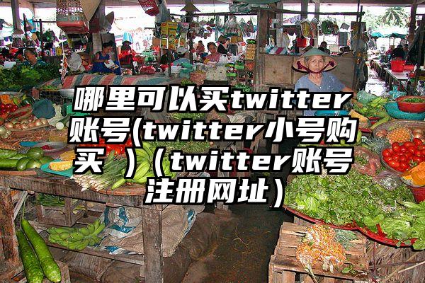 哪里可以买twitter账号(twitter小号购买 )（twitter账号注册网址）