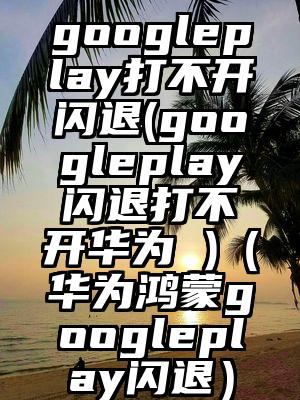 googleplay打不开闪退(googleplay闪退打不开华为 )（华为鸿蒙googleplay闪退）