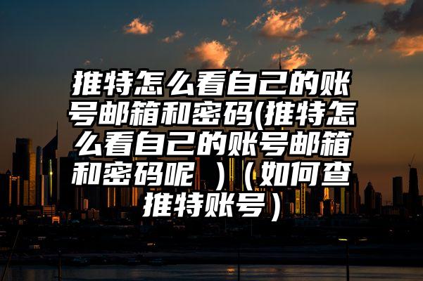 推特怎么看自己的账号邮箱和密码(推特怎么看自己的账号邮箱和密码呢 )（如何查推特账号）