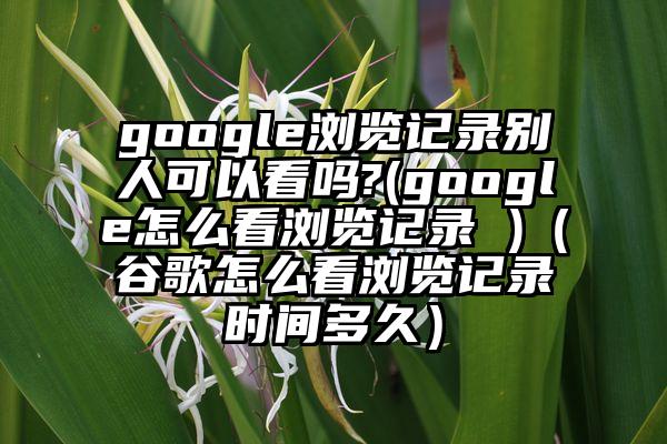 google浏览记录别人可以看吗?(google怎么看浏览记录 )（谷歌怎么看浏览记录时间多久）