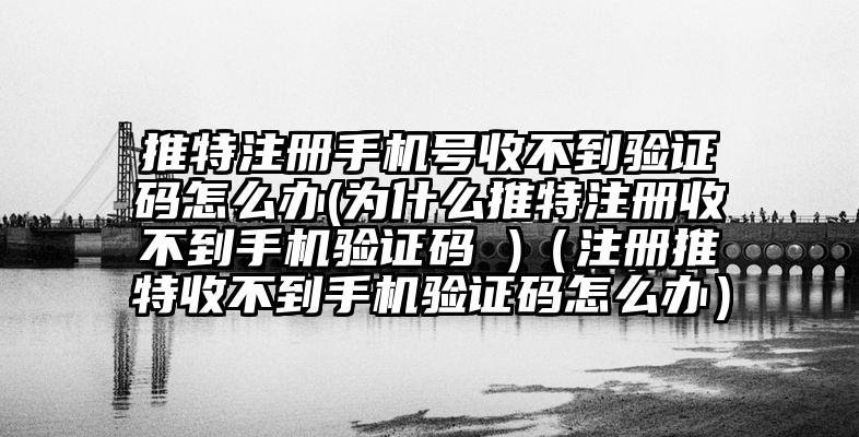 推特注册手机号收不到验证码怎么办(为什么推特注册收不到手机验证码 )（注册推特收不到手机验证码怎么办）