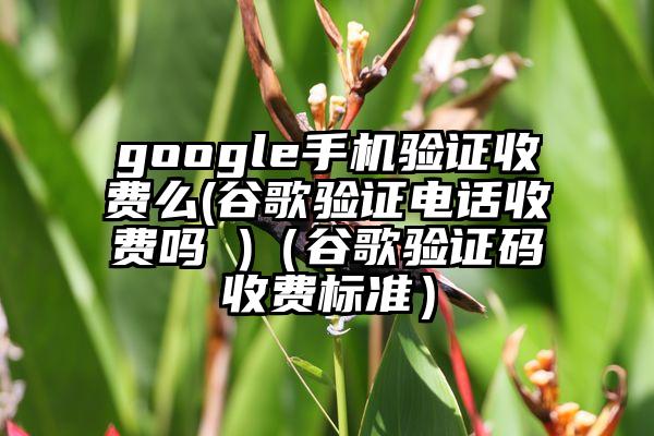 google手机验证收费么(谷歌验证电话收费吗 )（谷歌验证码收费标准）
