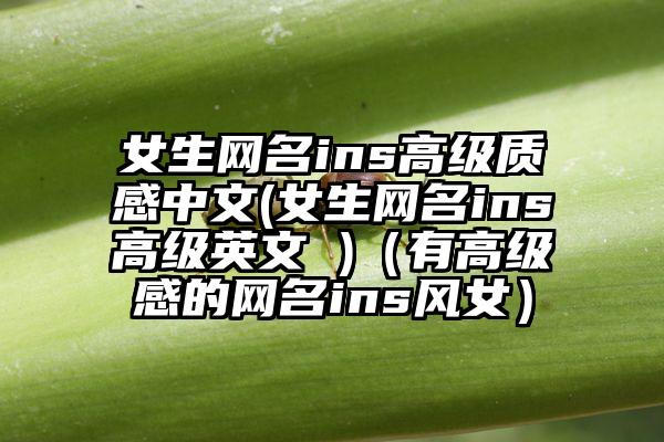 女生网名ins高级质感中文(女生网名ins高级英文 )（有高级感的网名ins风女）