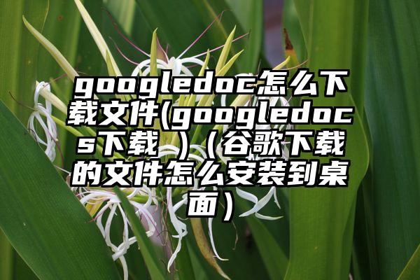 googledoc怎么下载文件(googledocs下载 )（谷歌下载的文件怎么安装到桌面）
