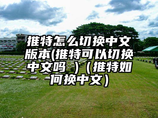 推特怎么切换中文版本(推特可以切换中文吗 )（推特如何换中文）