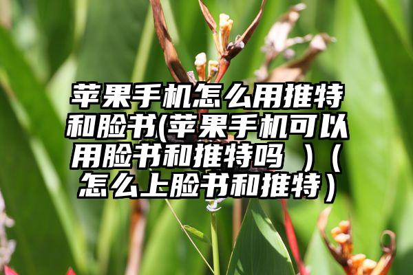 苹果手机怎么用推特和脸书(苹果手机可以用脸书和推特吗 )（怎么上脸书和推特）