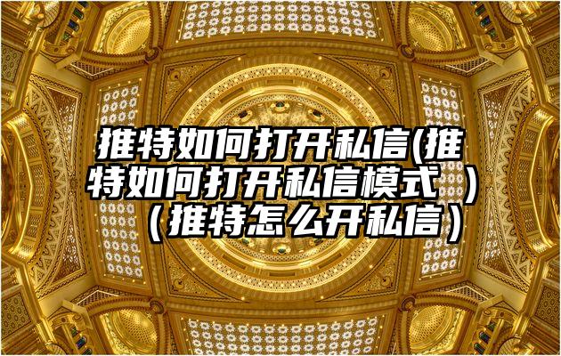 推特如何打开私信(推特如何打开私信模式 )（推特怎么开私信）