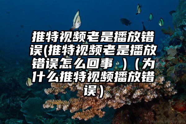 推特视频老是播放错误(推特视频老是播放错误怎么回事 )（为什么推特视频播放错误）