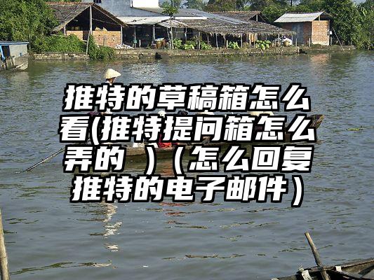 推特的草稿箱怎么看(推特提问箱怎么弄的 )（怎么回复推特的电子邮件）