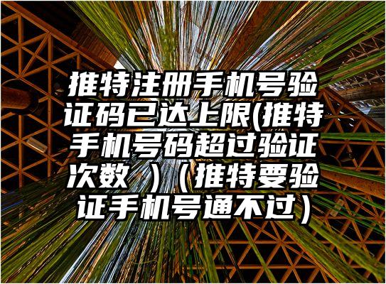 推特注册手机号验证码已达上限(推特手机号码超过验证次数 )（推特要验证手机号通不过）