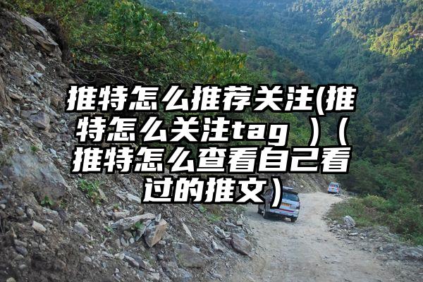 推特怎么推荐关注(推特怎么关注tag )（推特怎么查看自己看过的推文）