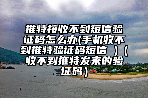 推特接收不到短信验证码怎么办(手机收不到推特验证码短信 )（收不到推特发来的验证码）