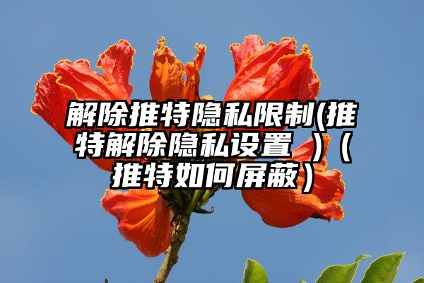 解除推特隐私限制(推特解除隐私设置 )（推特如何屏蔽）