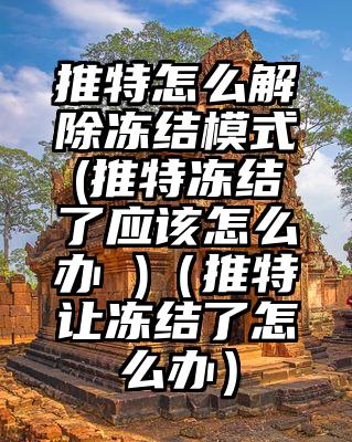 推特怎么解除冻结模式(推特冻结了应该怎么办 )（推特让冻结了怎么办）