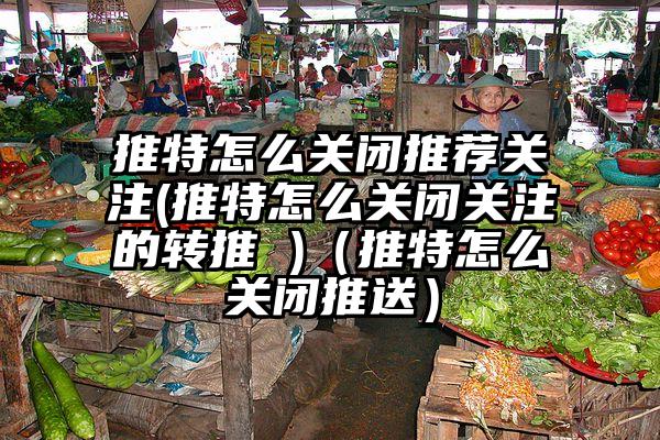 推特怎么关闭推荐关注(推特怎么关闭关注的转推 )（推特怎么关闭推送）