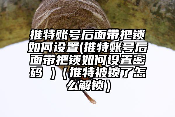 推特账号后面带把锁如何设置(推特账号后面带把锁如何设置密码 )（推特被锁了怎么解锁）