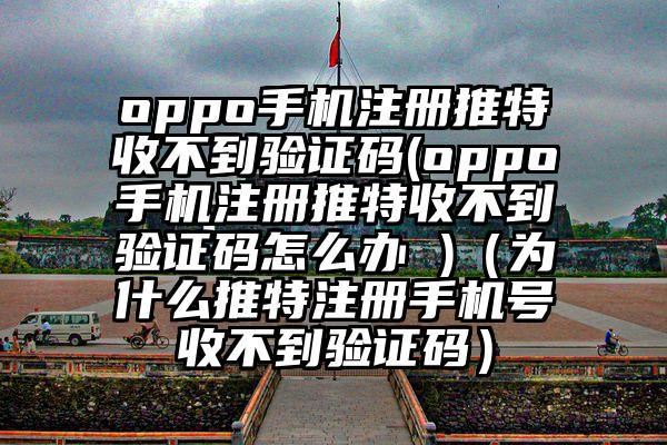 oppo手机注册推特收不到验证码(oppo手机注册推特收不到验证码怎么办 )（为什么推特注册手机号收不到验证码）