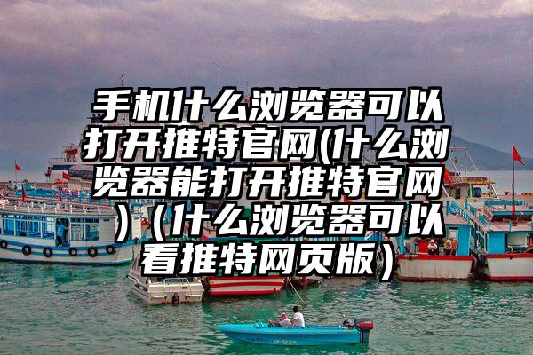 手机什么浏览器可以打开推特官网(什么浏览器能打开推特官网 )（什么浏览器可以看推特网页版）