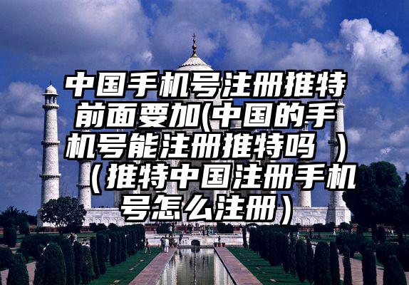中国手机号注册推特前面要加(中国的手机号能注册推特吗 )（推特中国注册手机号怎么注册）