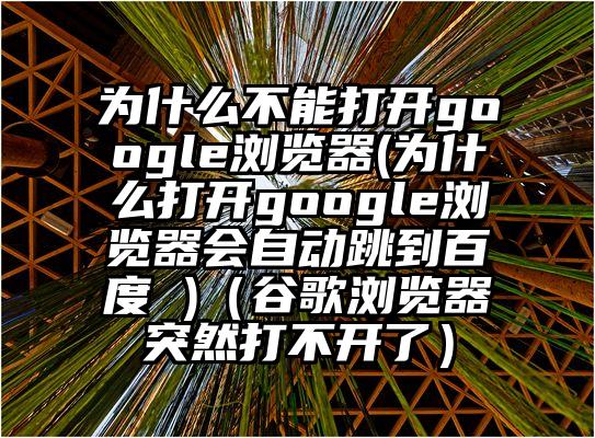 为什么不能打开google浏览器(为什么打开google浏览器会自动跳到百度 )（谷歌浏览器突然打不开了）