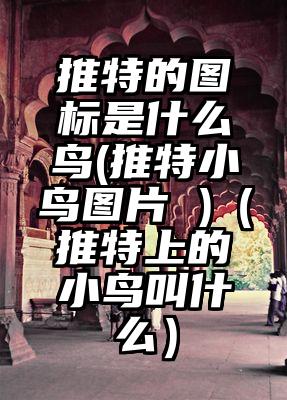 推特的图标是什么鸟(推特小鸟图片 )（推特上的小鸟叫什么）