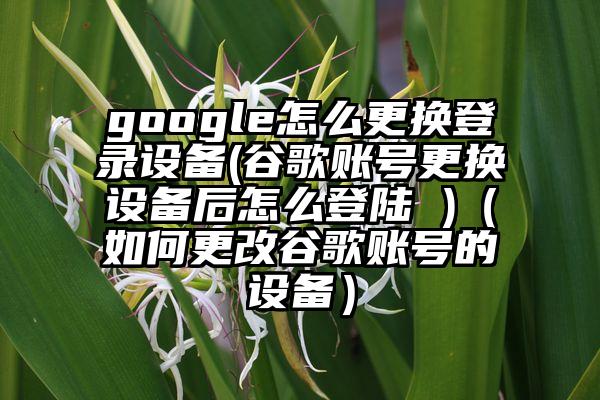 google怎么更换登录设备(谷歌账号更换设备后怎么登陆 )（如何更改谷歌账号的设备）