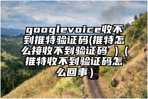 googlevoice收不到推特验证码(推特怎么接收不到验证码 )（推特收不到验证码怎么回事）
