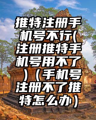 推特注册手机号不行(注册推特手机号用不了 )（手机号注册不了推特怎么办）