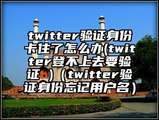 twitter验证身份卡住了怎么办(twitter登不上去要验证 )（twitter验证身份忘记用户名）
