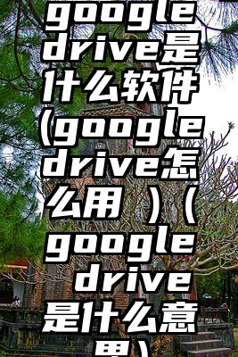 googledrive是什么软件(googledrive怎么用 )（google drive是什么意思）