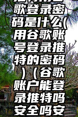 推特用谷歌登录密码是什么(用谷歌账号登录推特的密码 )（谷歌账户能登录推特吗安全吗安全吗）