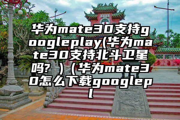 华为mate30支持googleplay(华为mate30支持北斗卫星吗? )（华为mate30怎么下载googlepl