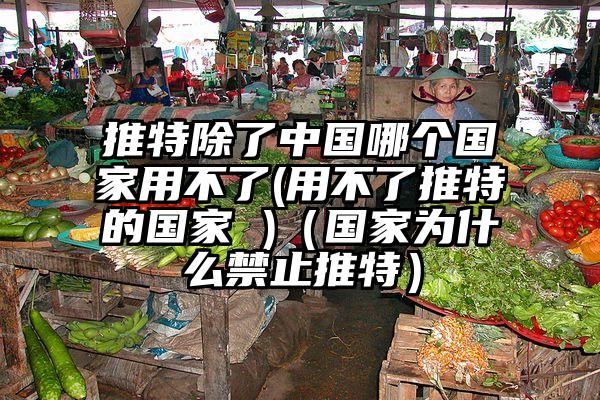 推特除了中国哪个国家用不了(用不了推特的国家 )（国家为什么禁止推特）