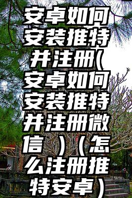 安卓如何安装推特并注册(安卓如何安装推特并注册微信 )（怎么注册推特安卓）