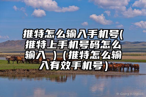 推特怎么输入手机号(推特上手机号码怎么输入 )（推特怎么输入有效手机号）