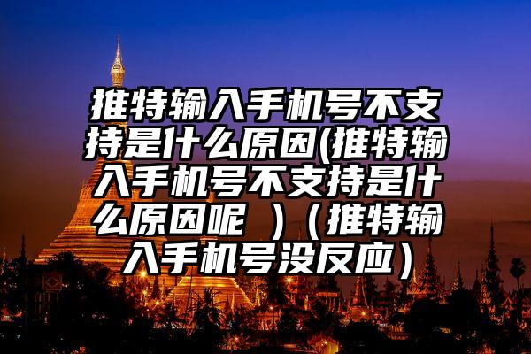 推特输入手机号不支持是什么原因(推特输入手机号不支持是什么原因呢 )（推特输入手机号没反应）