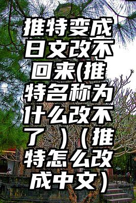 推特变成日文改不回来(推特名称为什么改不了 )（推特怎么改成中文）