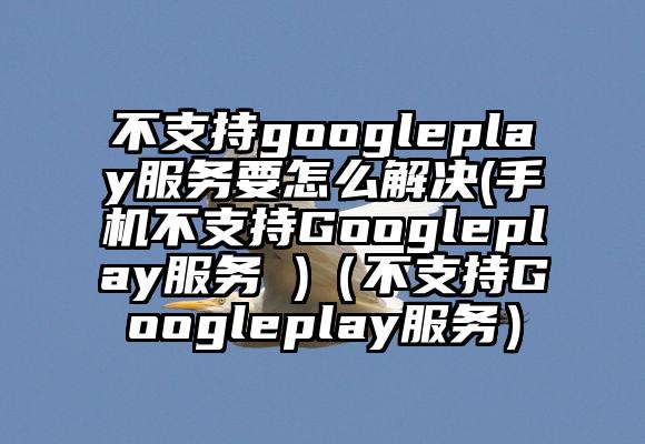 不支持googleplay服务要怎么解决(手机不支持Googleplay服务 )（不支持Googleplay服务）