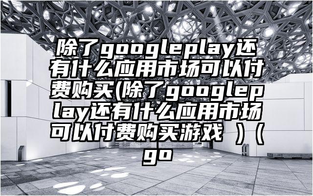 除了googleplay还有什么应用市场可以付费购买(除了googleplay还有什么应用市场可以付费购买游戏 )（go