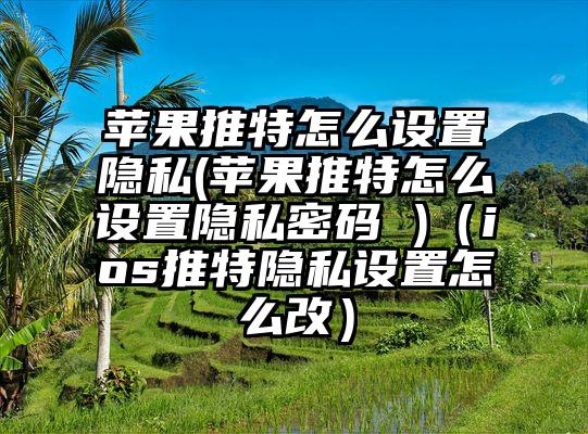 苹果推特怎么设置隐私(苹果推特怎么设置隐私密码 )（ios推特隐私设置怎么改）