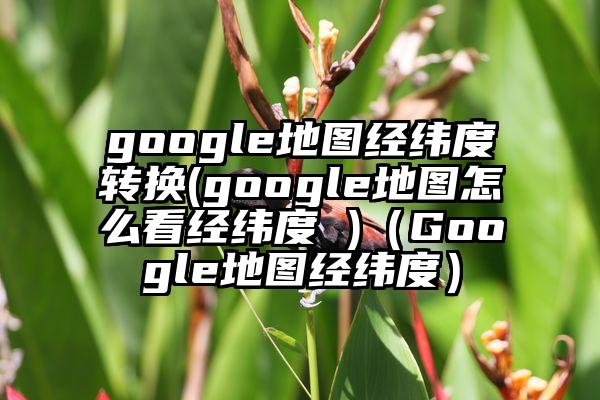 google地图经纬度转换(google地图怎么看经纬度 )（Google地图经纬度）
